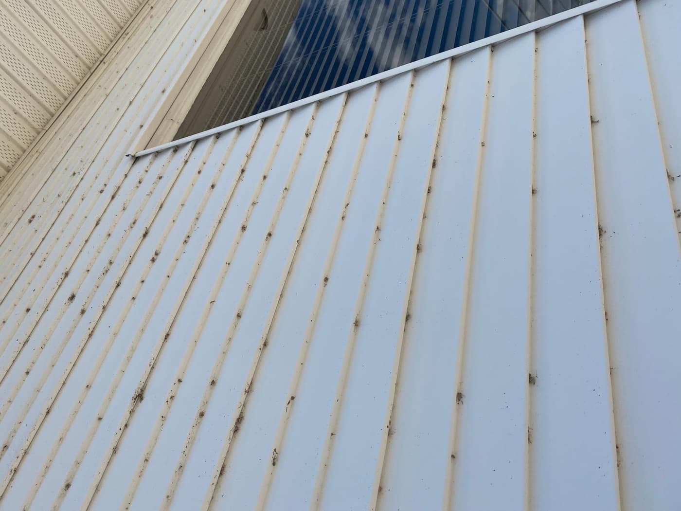 Close-up of vinyl siding with dark spots and oxidation buildup